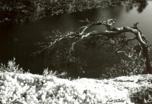 norway 1997 r-2 copy 2