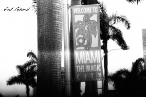 florydawedlugstokera copy