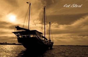 nakotwicy2 copy copy 2